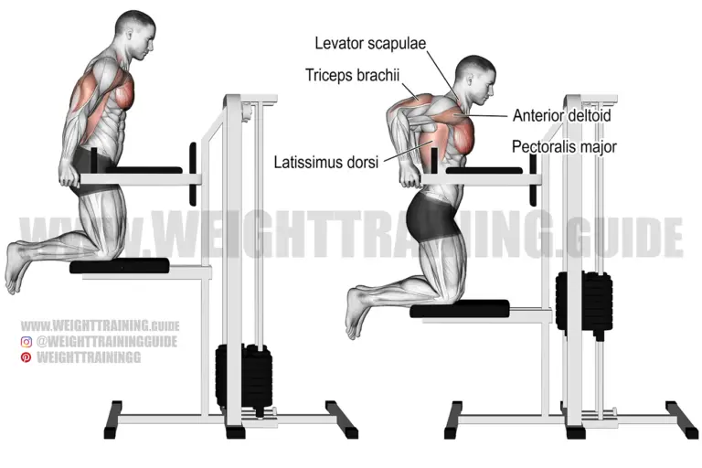 Machine-assisted triceps dip