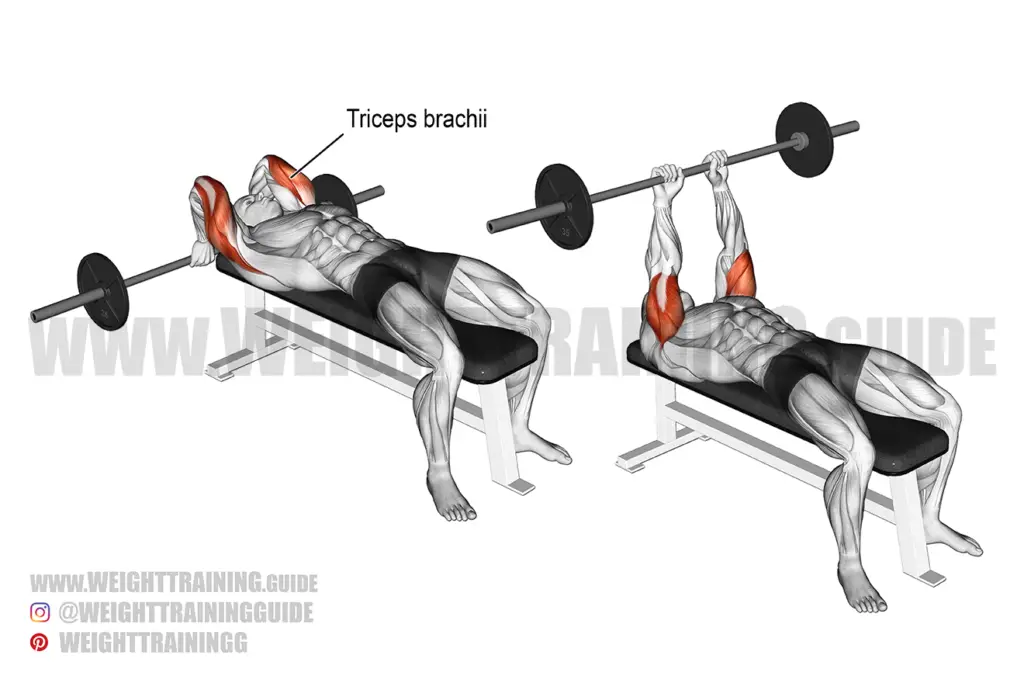 Lying barbell triceps extension exercise instructions and video