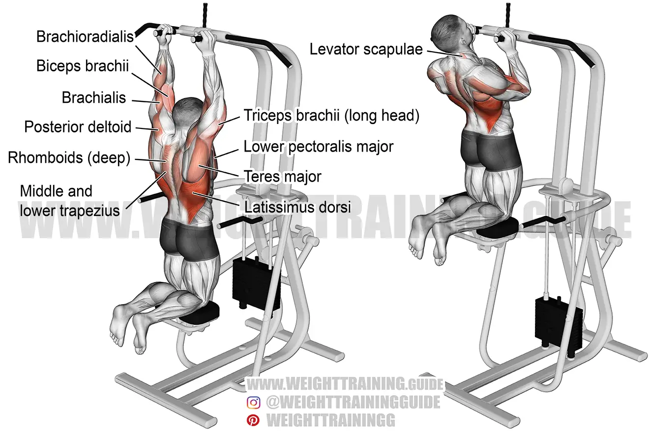 Machine-assisted close neutral-grip pull-up exercise