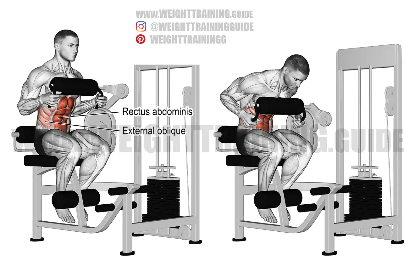 Machine seated crunch exercise