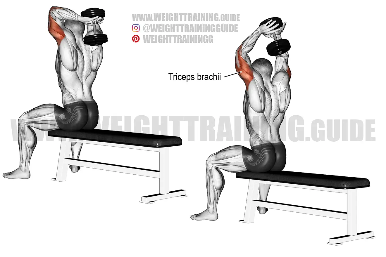 Seated dumbbell overhead triceps extension exercise
