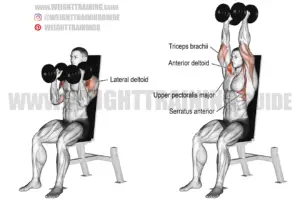 Seated neutral-grip dumbbell overhead press instructions and video