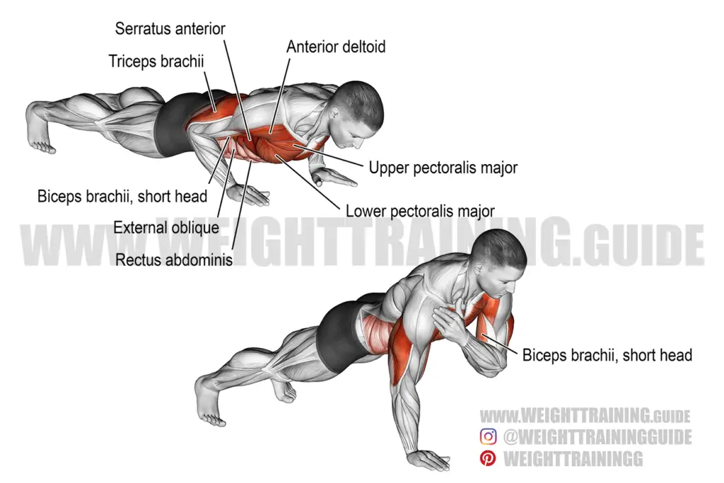 Shoulder tap push-up exercise guide and video | Weight Training Guide