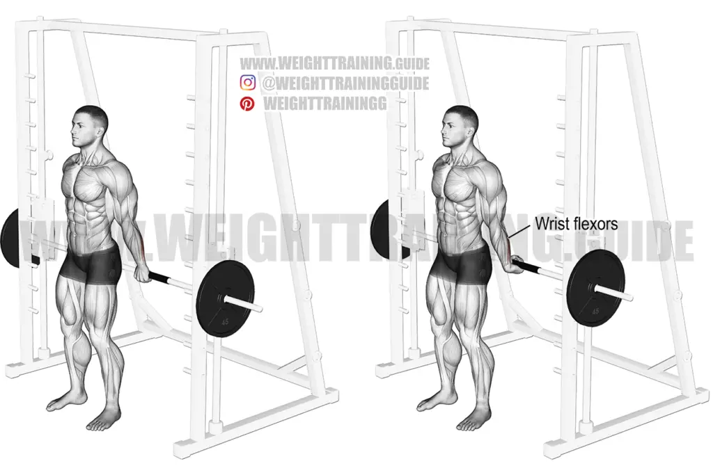 Behind-the-back Smith Machine Wrist Curl Exercise Instructions And Video