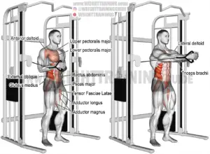Cable horizontal Pallof press exercise