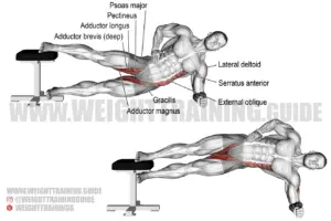 Side plank hip adduction exercise instructions and video
