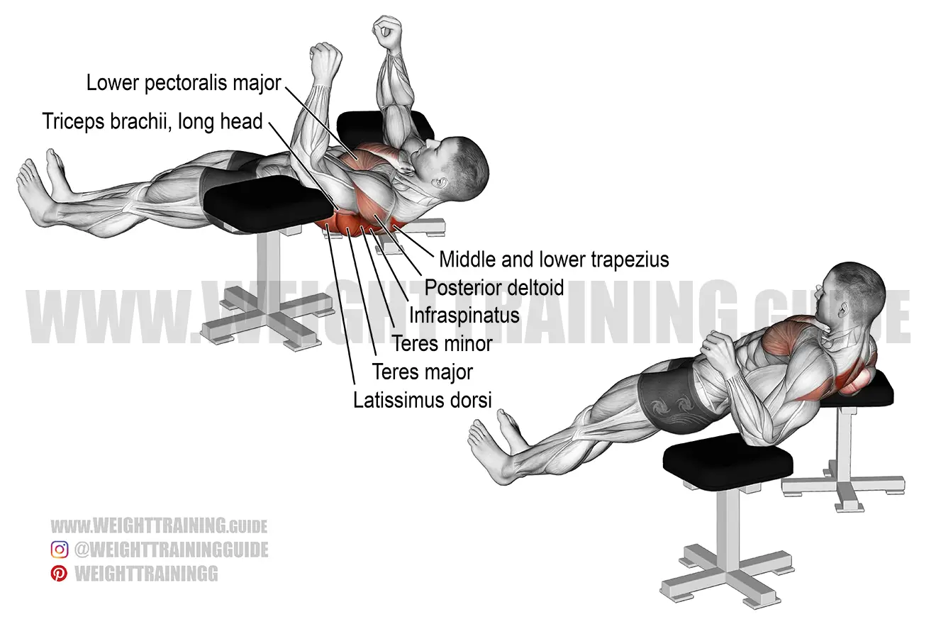 Reverse elbow sales push ups