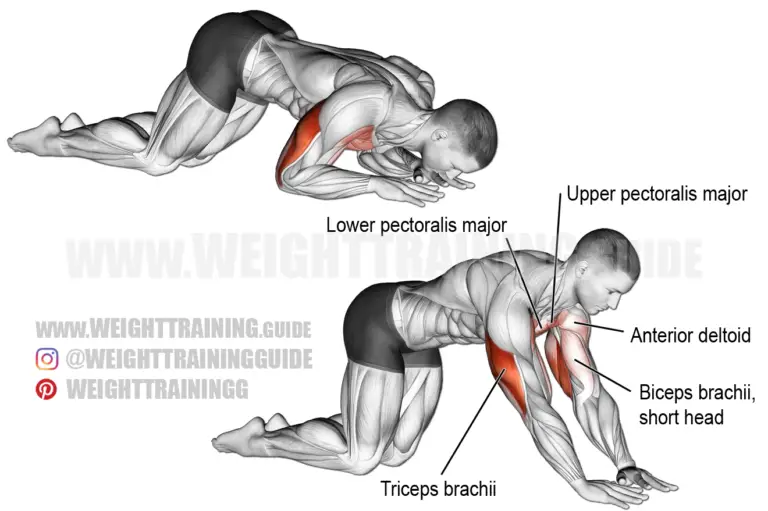 Kneeling bodyweight triceps extension