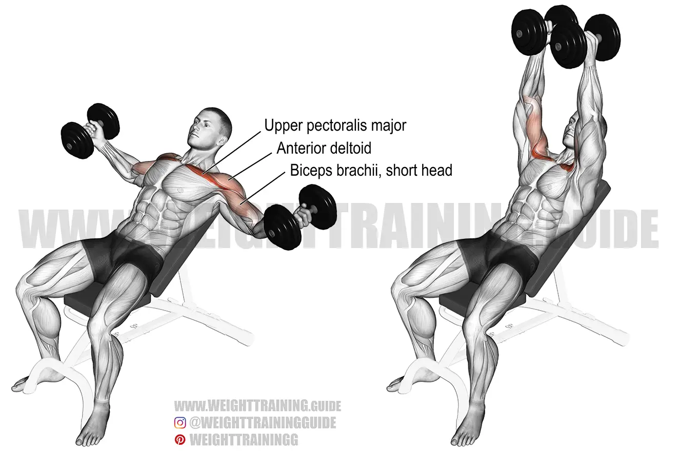 Incline dumbbell fly exercise