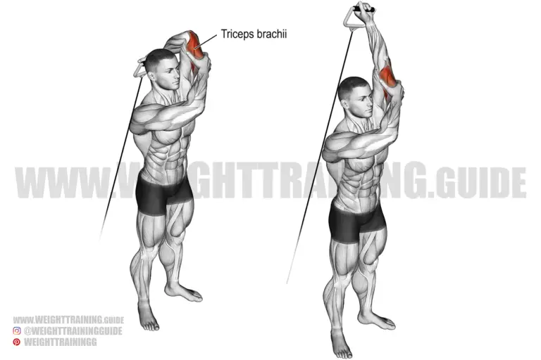 Standing overhead one-arm cable triceps extension