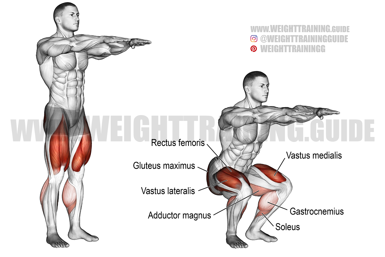 DB Jump Squats - Full Video Tutorial & Exercise Guide