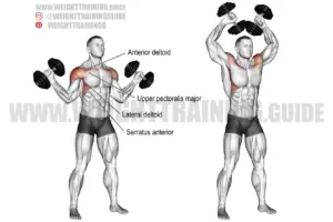 Dumbbell w-press exercise instructions and video | Weight Training Guide