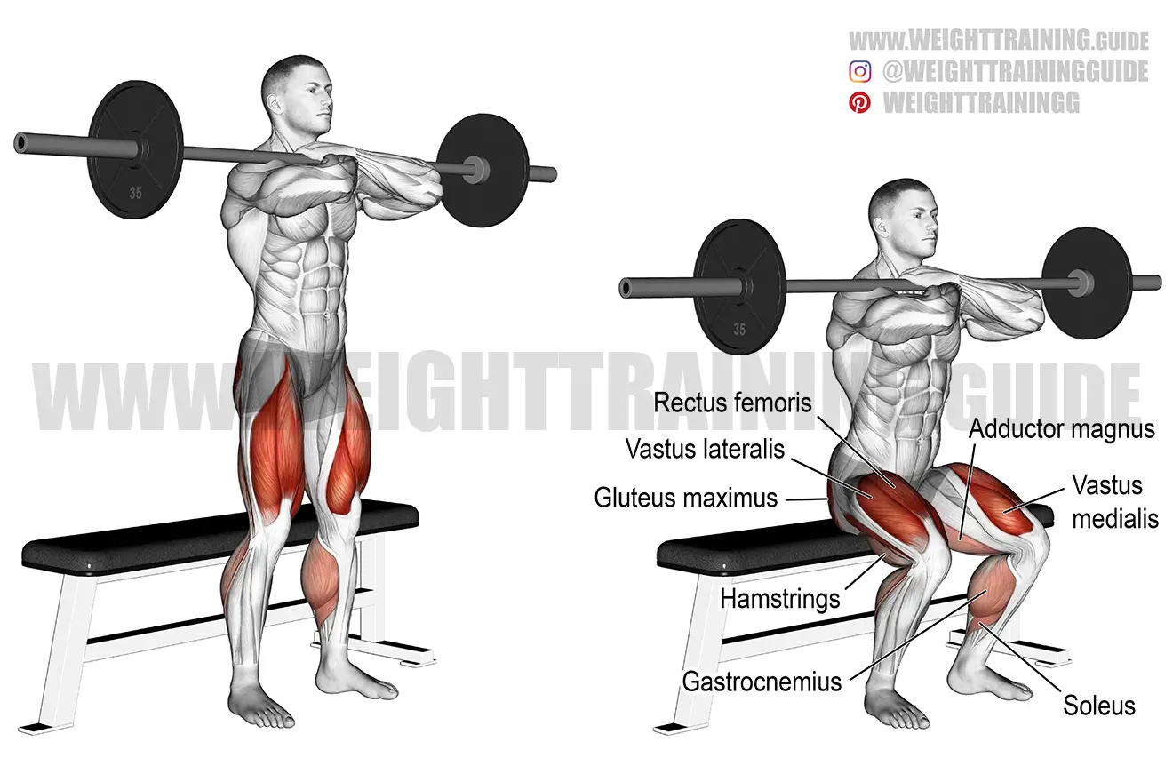 Barbell front box squat exercise