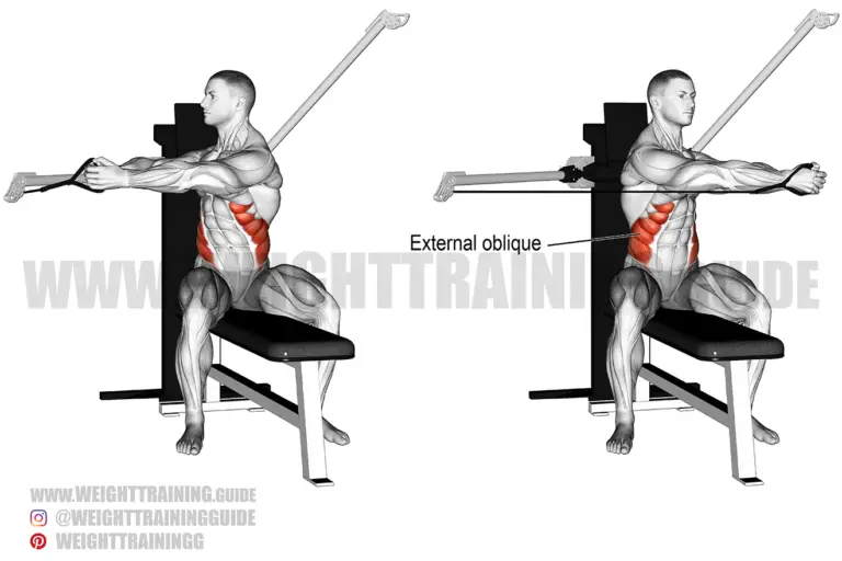 Seated cable twist