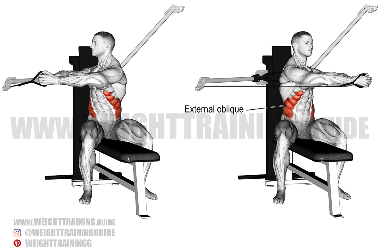 Seated cable twist exercise