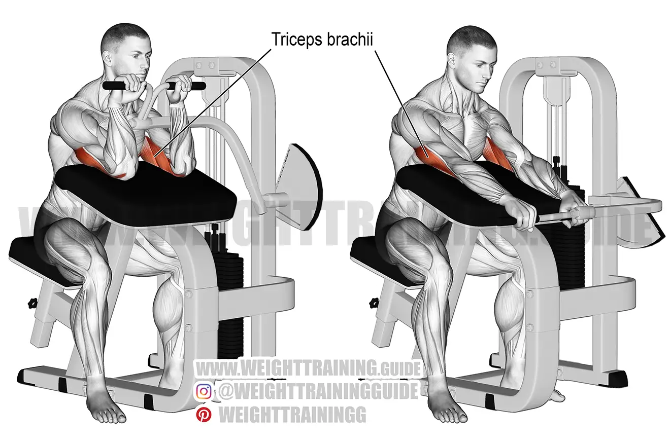Machine triceps extension exercise