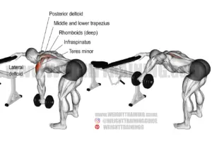 One-arm reverse dumbbell fly exercise instructions and videos