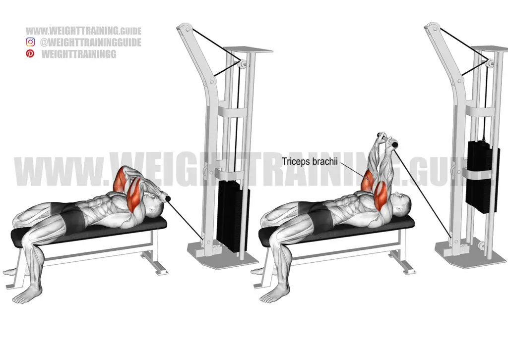 Lying cable skull crusher instructions and video | Weight Training Guide