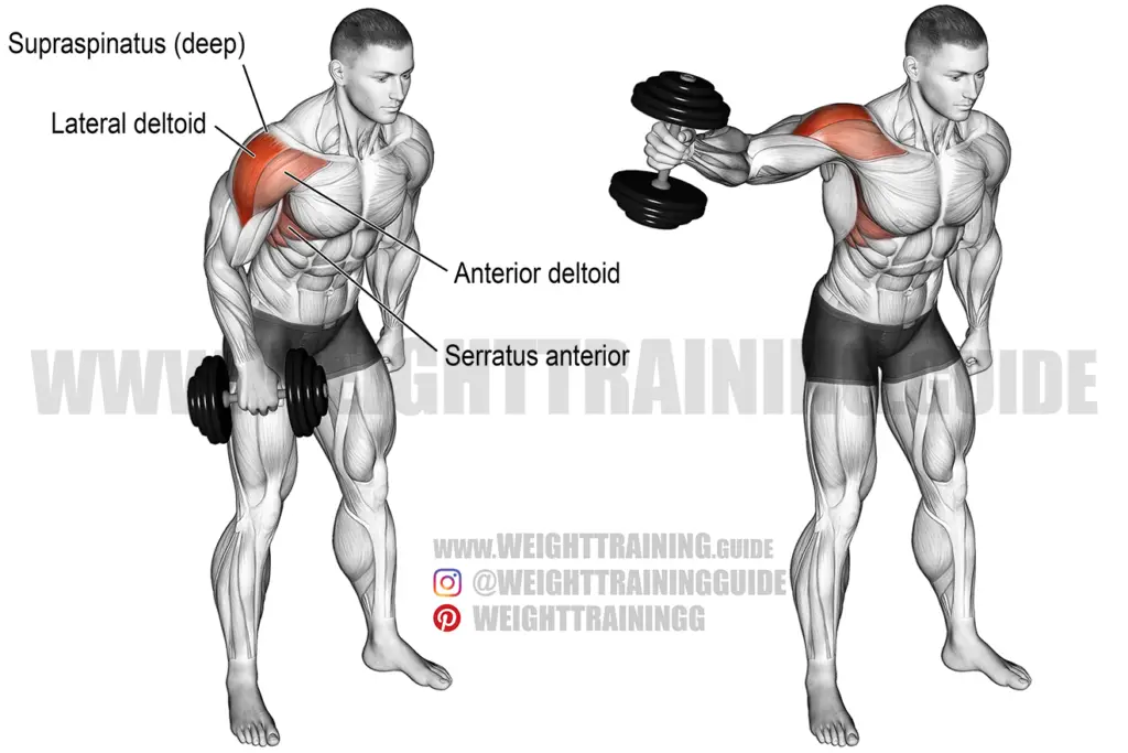 Dumbbell one-arm lateral raise exercise instructions and video