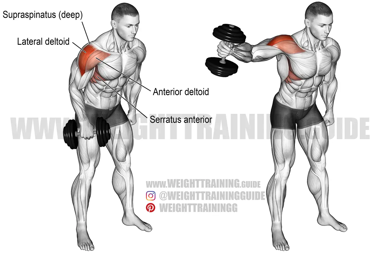 Dumbbell one-arm lateral raise exercise