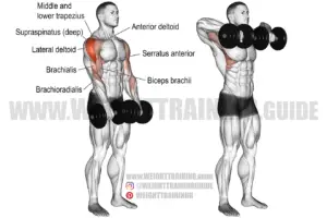 Dumbbell wide-grip upright row exercise instructions and video