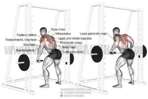 Smith machine Yates row exercise guide and video | Weight Training Guide