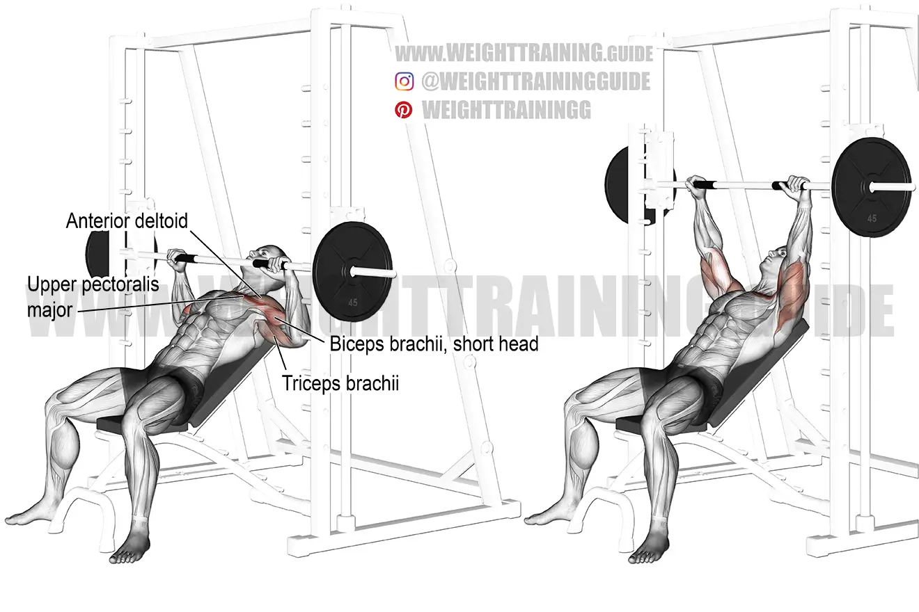 Smith machine incline bench press exercise