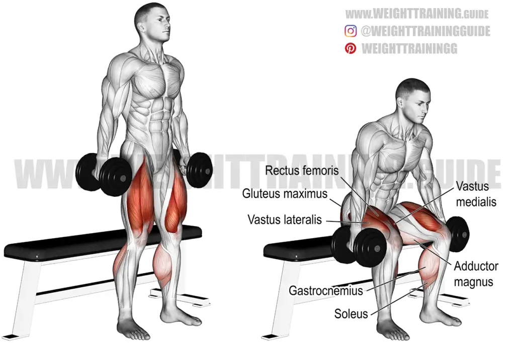 Dumbbell box squat instructions and videos | Weight Training Guide