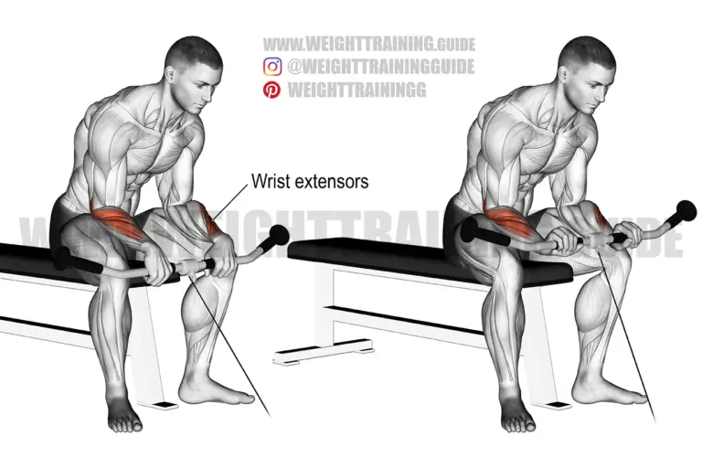 Cable reverse wrist curl