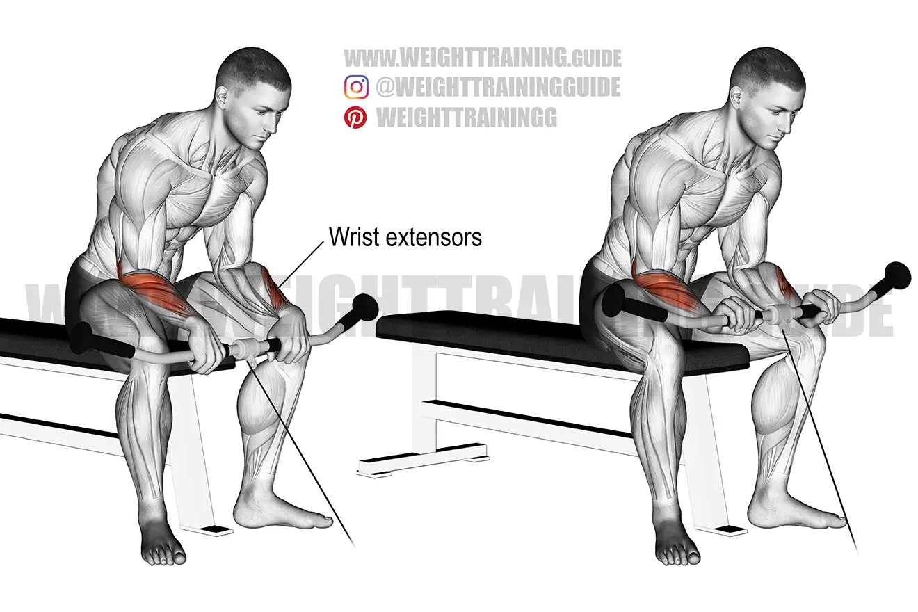 Cable reverse wrist curl exercise