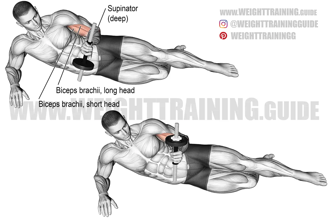 Lying dumbbell supination exercise