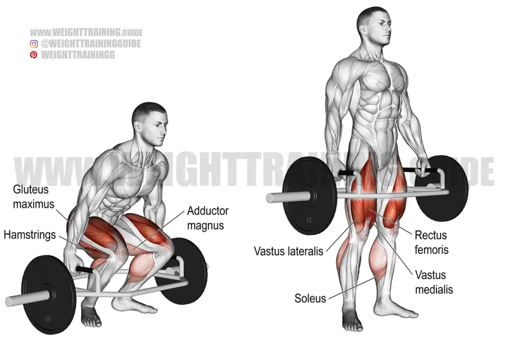 Trap Bar Deadlift Exercise Instructions And Video Weight Training Guide