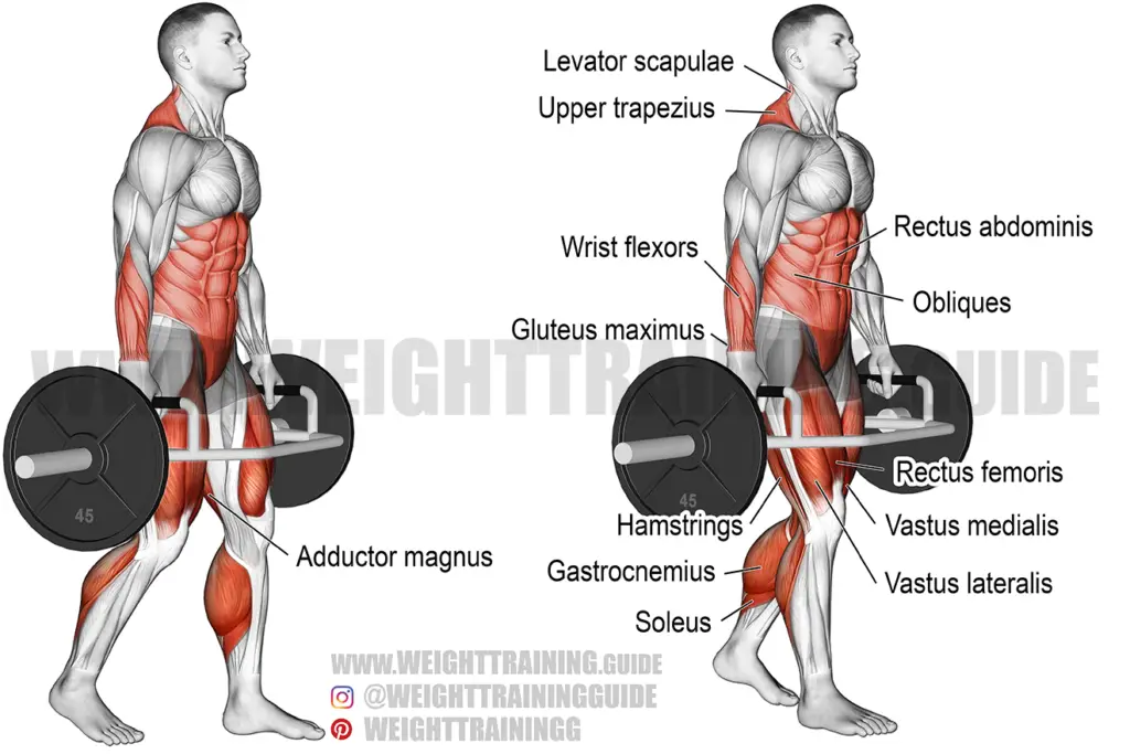 Trap bar farmer's walk instructions and videos | Weight Training Guide