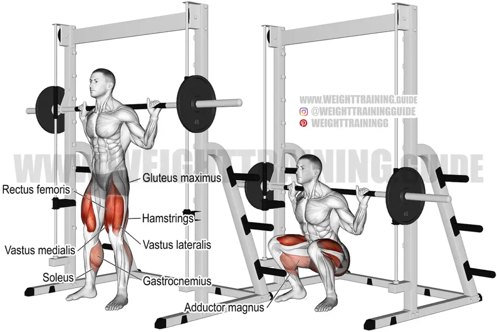 Smith machine squat instructions and video | Weight Training Guide