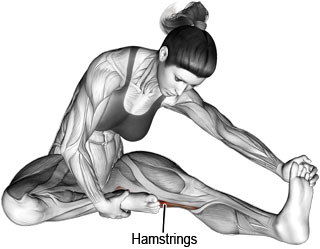 Seated hamstrings stretch