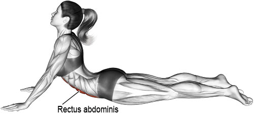 Prone abdominal stretch