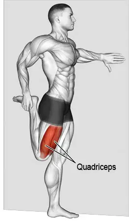 Standing quadriceps stretch