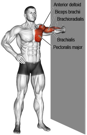 Chest and biceps stretch