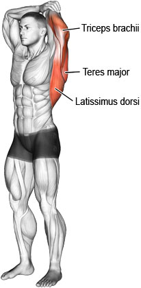 Overhead triceps stretch