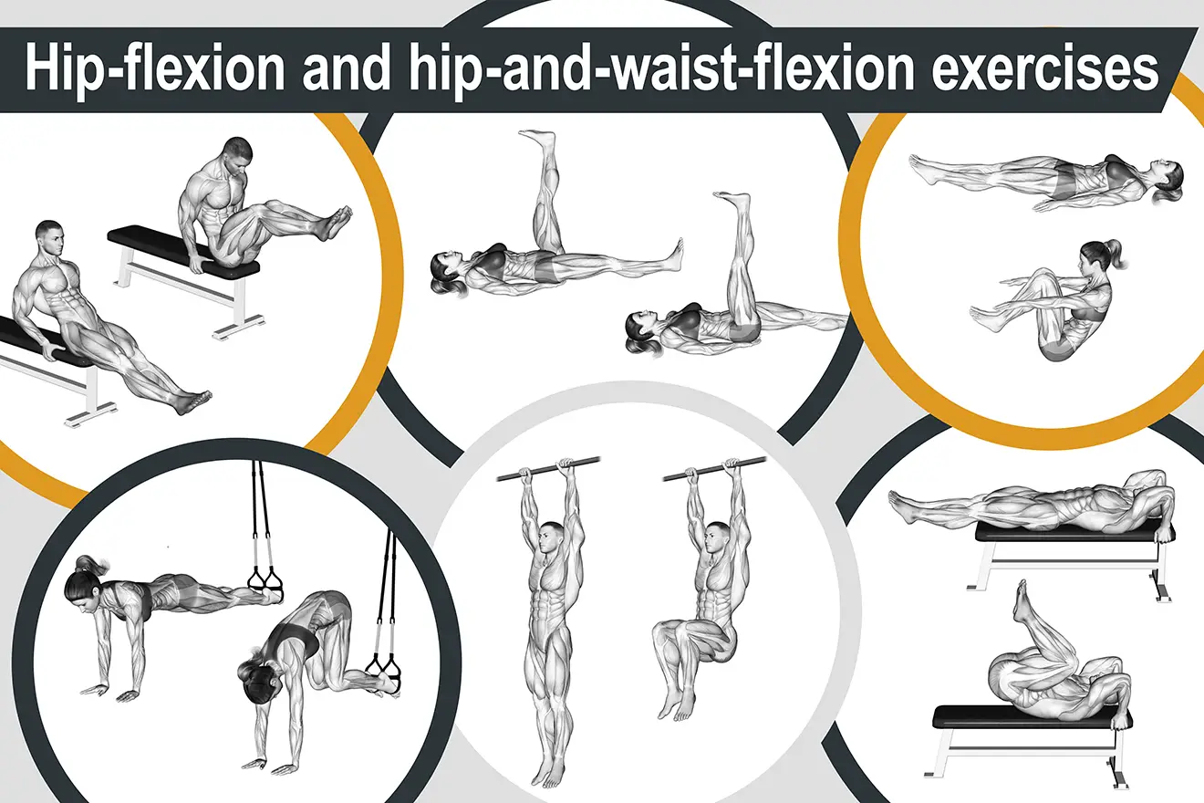 Hip-flexion and hip-and-waist-flexion exercises