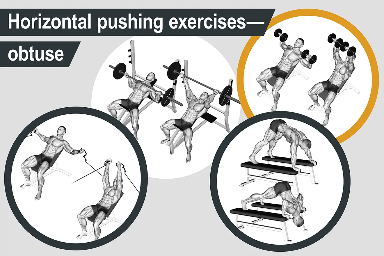 Horizontal pushing exercises obtuse angle of force Muscle Activation