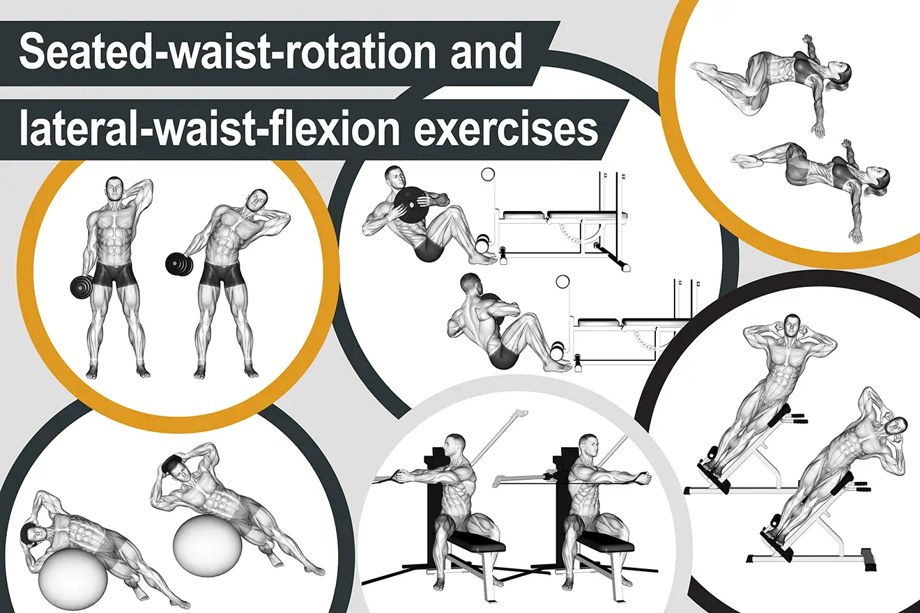 Seated-waist-rotation and lateral-waist-flexion exercises