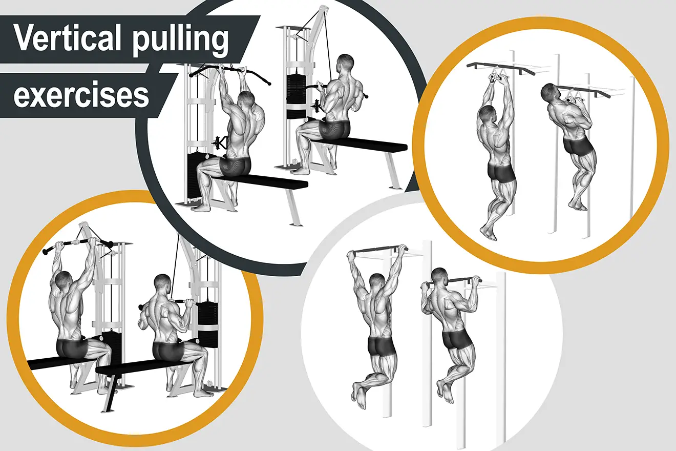 Vertical pulling exercises