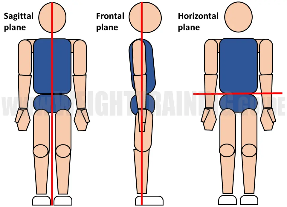 Anatomical position - sagittal, frontal and horizontal planes