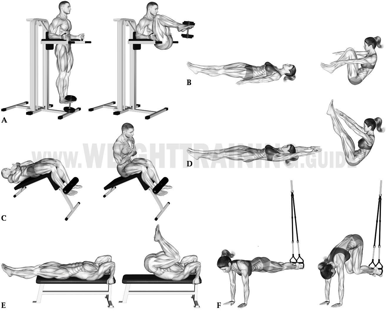 Hip-and-waist-flexion exercises