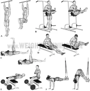 Hip-flexion and hip-and-waist-flexion exercises | Muscle Activation Guide