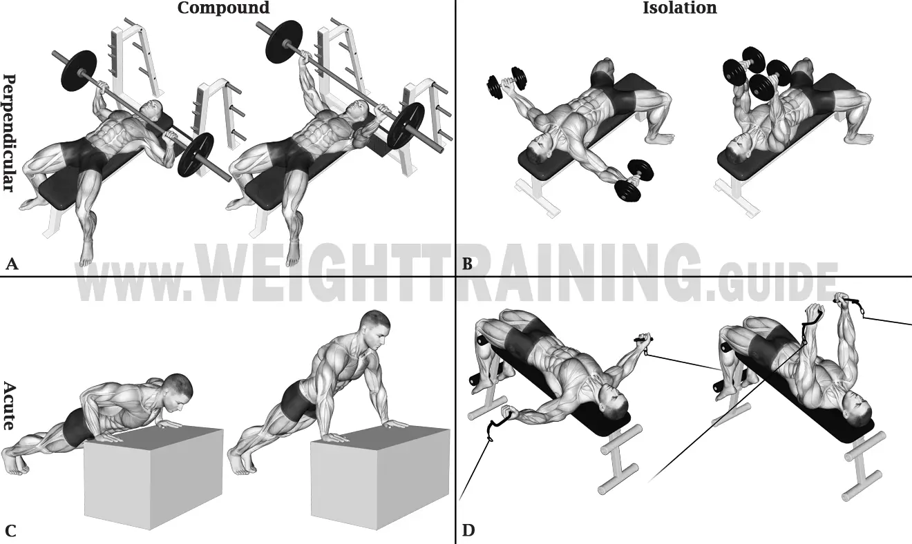 Horizontal pushing exercises, perpendicular or acute