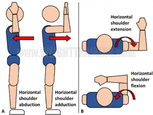 Joint articulations and the three planes of motion - Muscle Activation ...