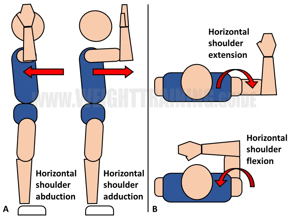 horizontal shoulder abduction and adduction, and horizontal shoulder extension and flexion