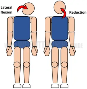 Joint articulations and the three planes of motion - Muscle Activation ...